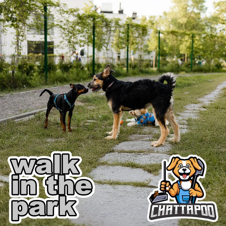 Middle Valley's Choice for Dog Waste Disposal