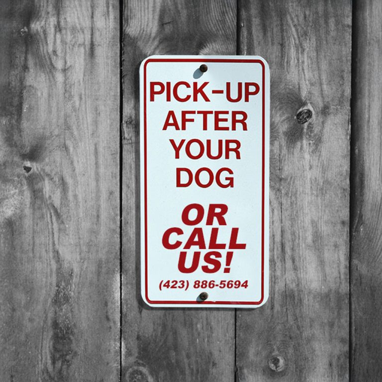 Restore Lawn Beauty with Targeted Dog Waste Cleanup