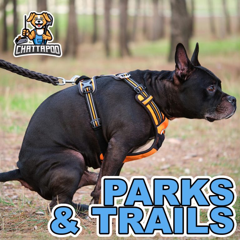 Trail Preservation with Comprehensive Dog Waste Removal